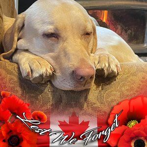 Meet your Posher, Sandy